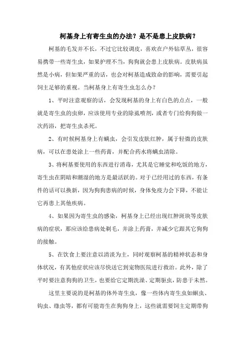 柯基身上有寄生虫的办法？是不是患上皮肤病？