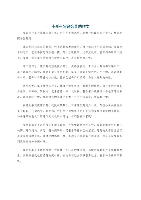 小学生写蒲公英的作文