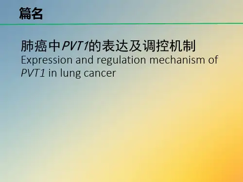 医学文献阅读汇报.ppt
