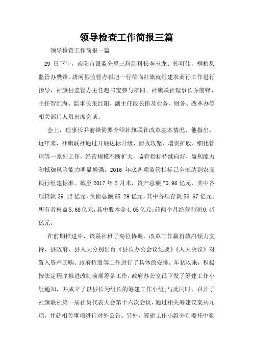 领导检查工作简报三篇