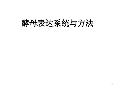 酵母表达系统与方法