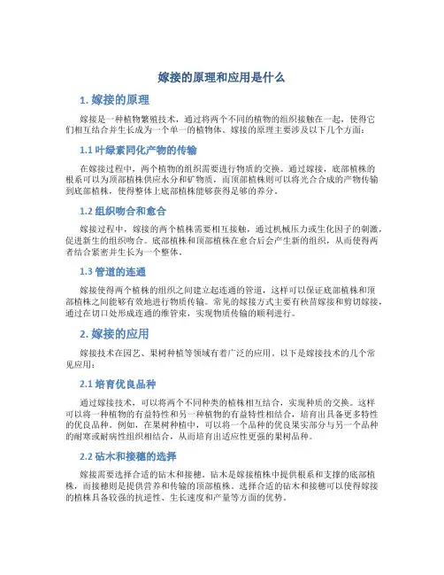 嫁接的原理和应用是什么