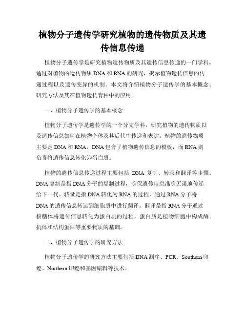 植物分子遗传学研究植物的遗传物质及其遗传信息传递