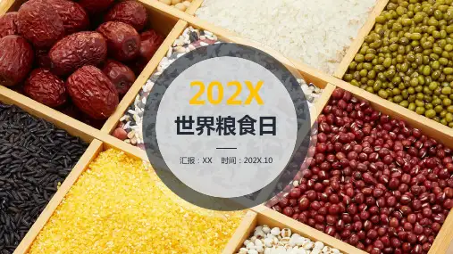 小学班会 珍惜粮食  课件 (28张PPT)