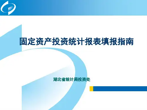 固定资产投资统计报表填报指南教材