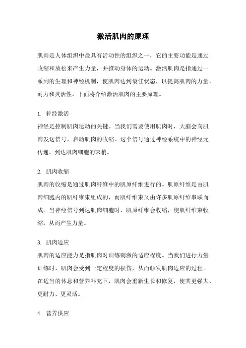 激活肌肉的原理