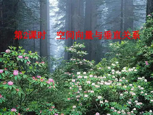 3.2第2课时空间向量与垂直关系