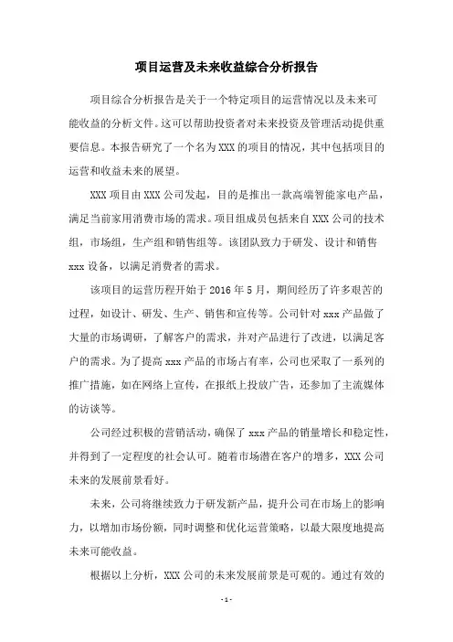 项目运营及未来收益综合分析报告