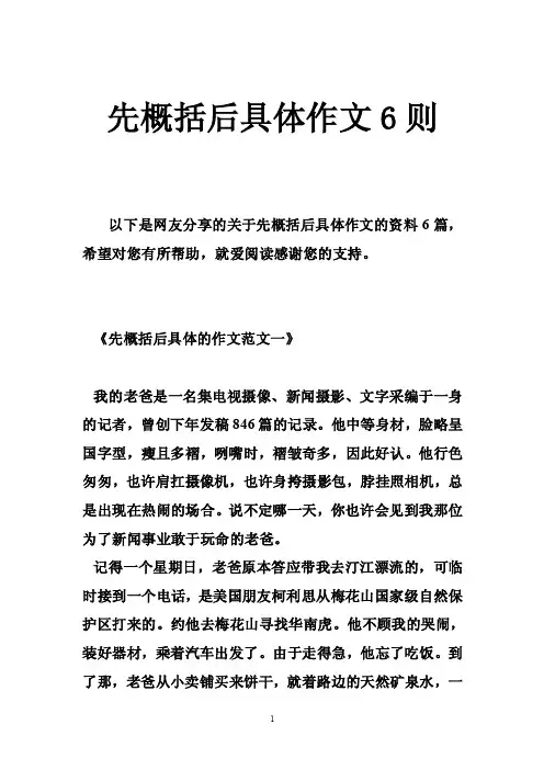 先概括后具体作文6则