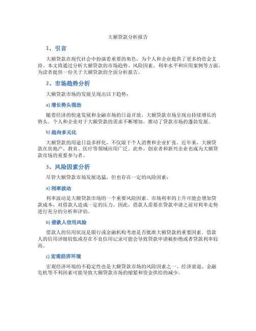 大额贷款分析报告