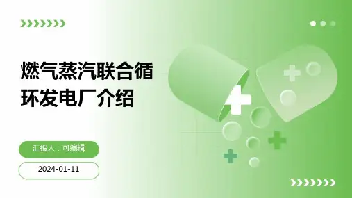 燃气蒸汽联合循环发电厂介绍PPT