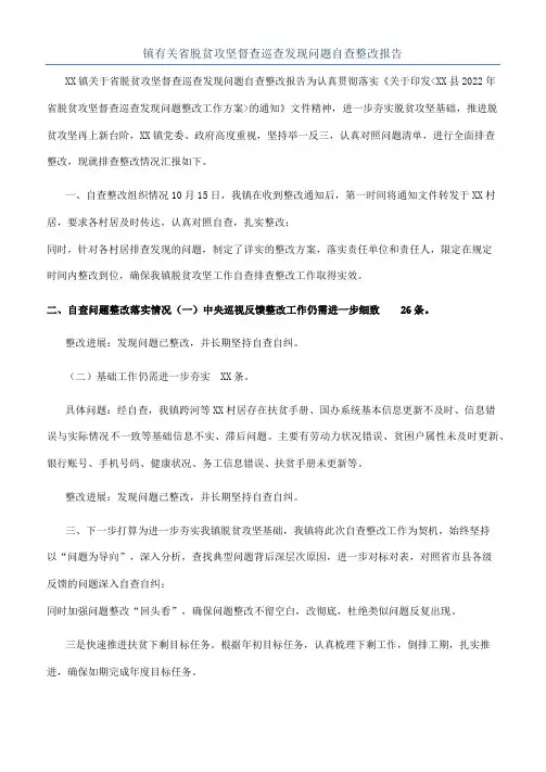 镇有关省脱贫攻坚督查巡查发现问题自查整改报告