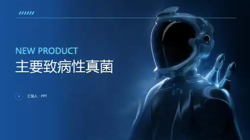 《主要致病性真菌》课件
