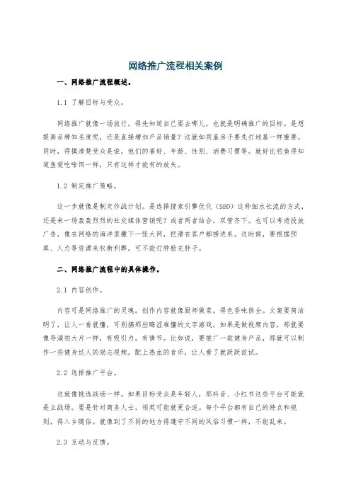 网络推广流程相关案例