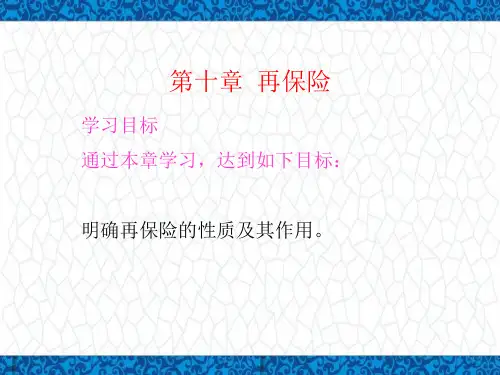 保险学(金融专业)PPT课件：第十章 再保险