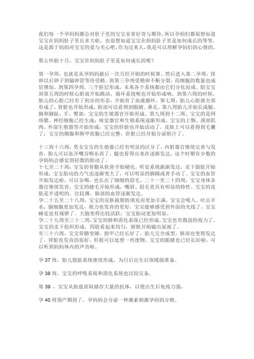 宝宝在妈妈肚子里的成长过程