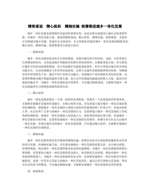 精准谋划 精心组织 精细实施 统筹推进城乡一体化发展