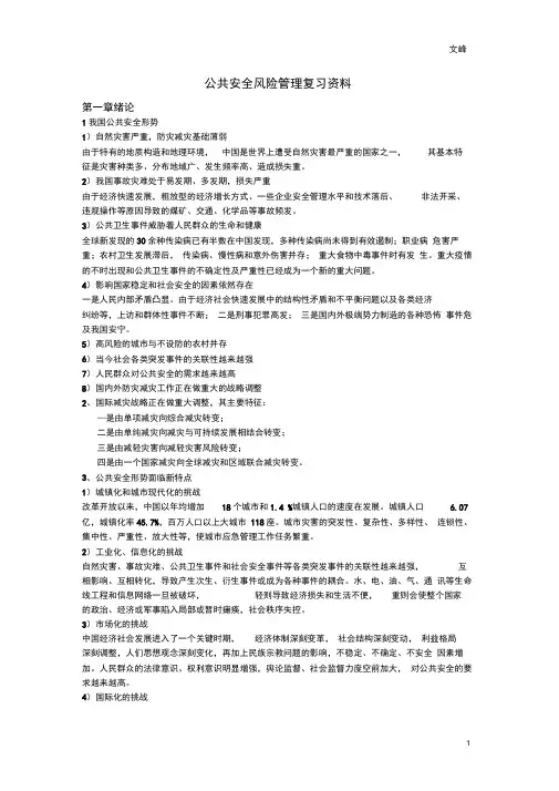 公共安全风险管理复习资料