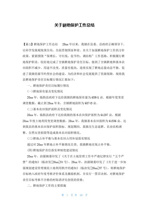 关于耕地保护工作总结
