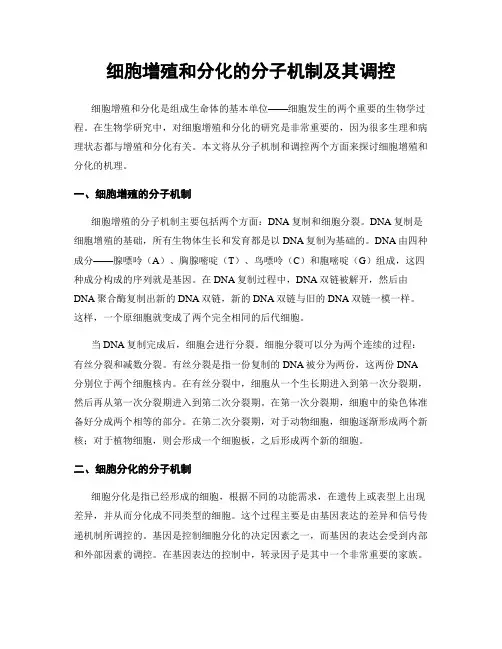 细胞增殖和分化的分子机制及其调控