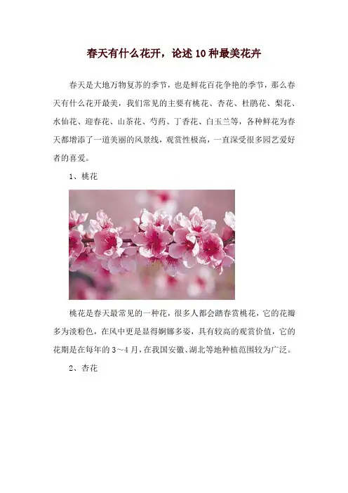 春天有什么花开,论述10种最美花卉