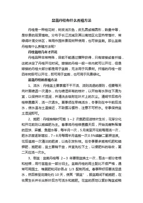 盆栽丹桂有什么养殖方法