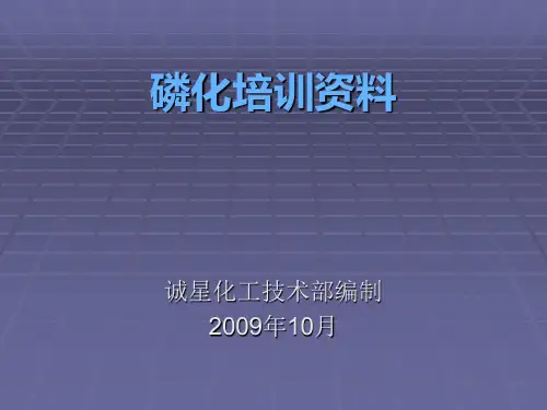 磷化培训资料讲解