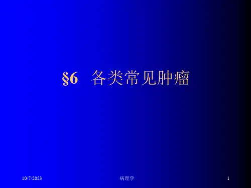 病理学肿瘤各论大纲课件