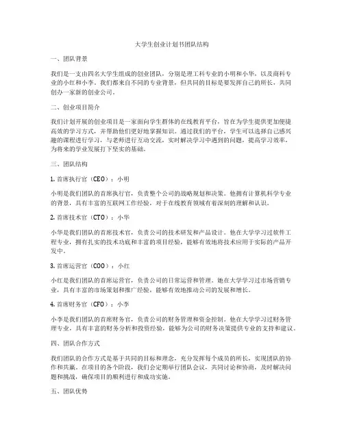 大学生创业计划书团队结构