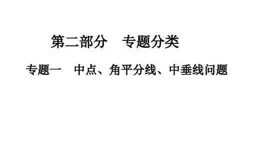 2024年+广东省中考专用数学复习专题一 中点、角平分线、中垂线问题