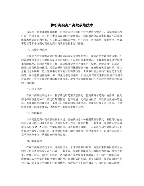 探析高粱高产高效栽培技术