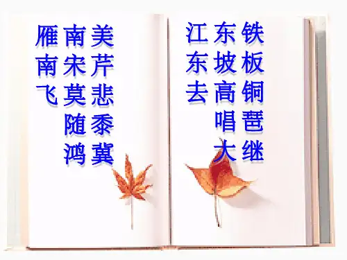 《丑奴儿》ppt课件