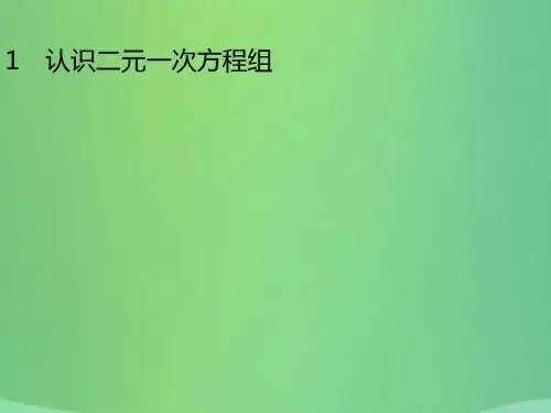 八年级数学上册认识二元一次方程组课件(新版)北师大版