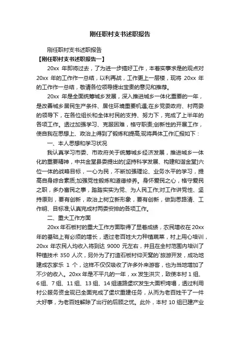 刚任职村支书述职报告