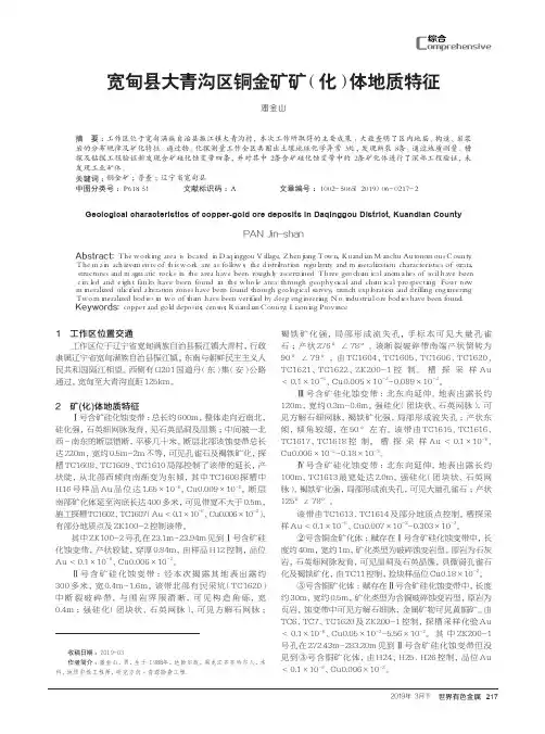 宽甸县大青沟区铜金矿矿(化)体地质特征
