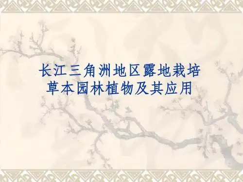 长江三角洲地区露地栽培草本园林植物及其应用