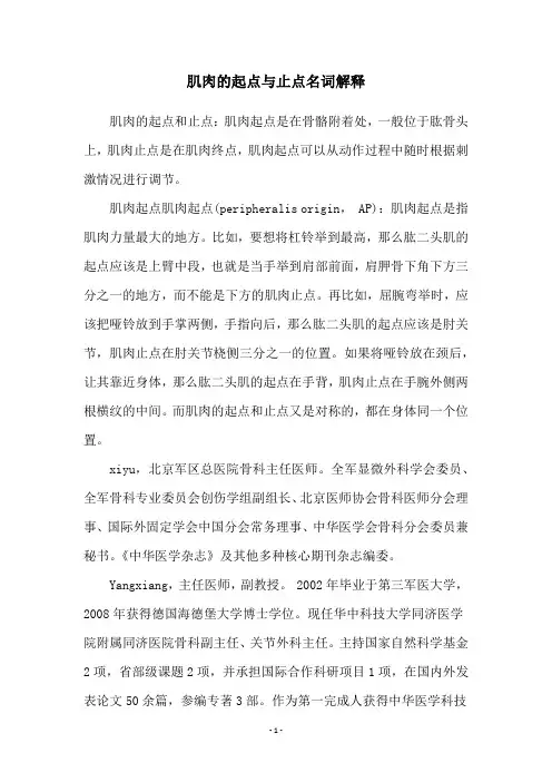 肌肉的起点与止点名词解释