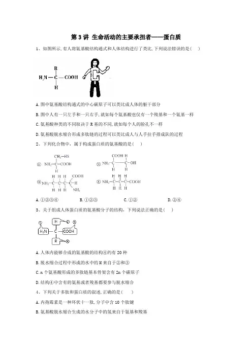 2021年高考生物一轮复习第3讲生命活动的主要承担者__蛋白质跟踪练含解析.doc