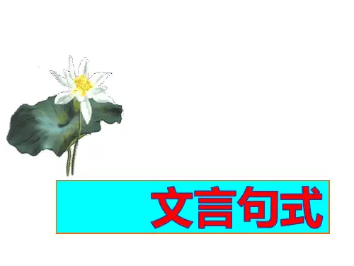 高考文言特殊句式ppt课件