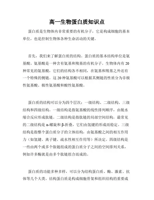 高一生物蛋白质知识点