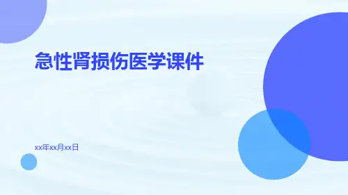 急性肾损伤医学课件