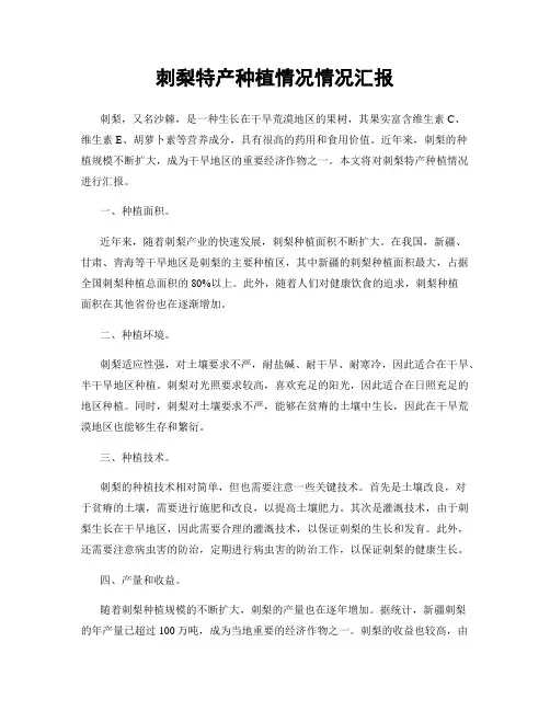 刺梨特产种植情况情况汇报