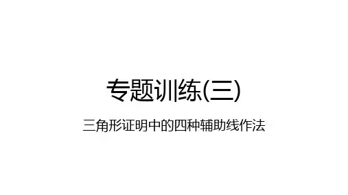 北师大版八年级数学下册期末复习专题训练(三) 三角形证明中的四种辅助线作法