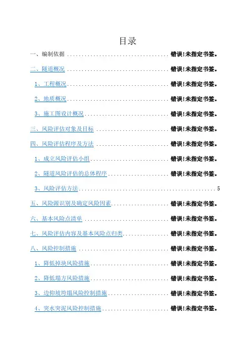 隧道风险评估报告