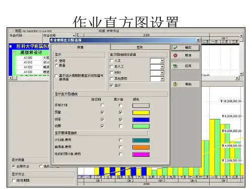 PrimaveraP6项目管理软件培训2