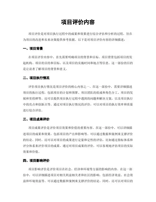 项目评价内容