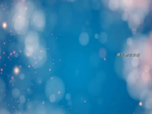 微生物学实验
