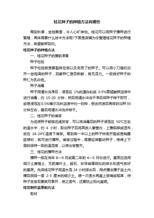 桂花种子的种植方法有哪些
