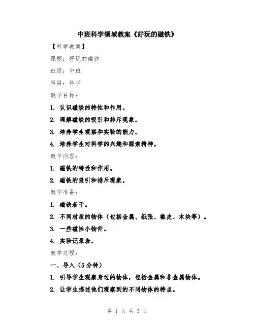 中班科学领域教案《好玩的磁铁》