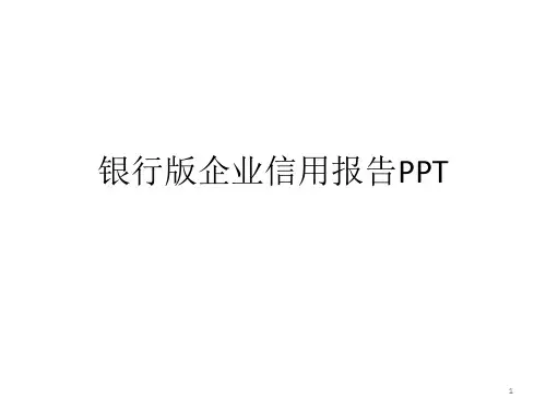 银行版企业信用报告PPT